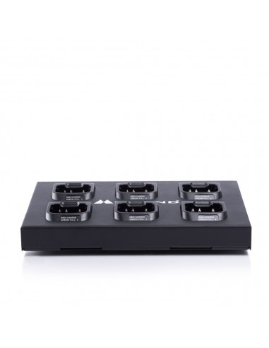 Cargador MULTI CA PB-G10