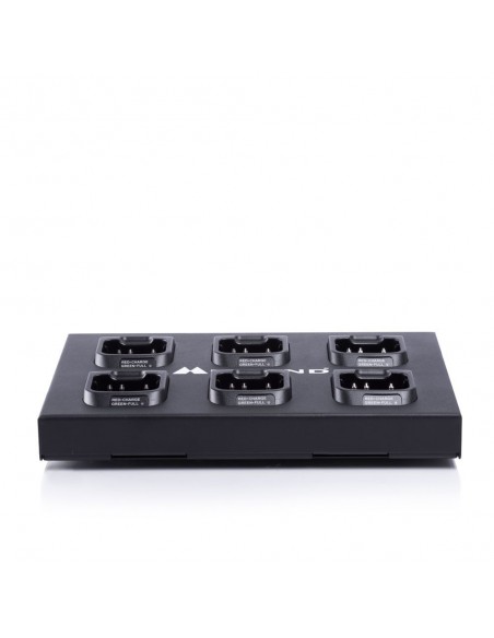 Cargador MULTI CA PB-G10